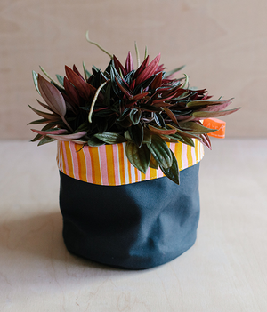 Fabric Storage Pot - Graphite Dry Wax - pink + mustard stripe